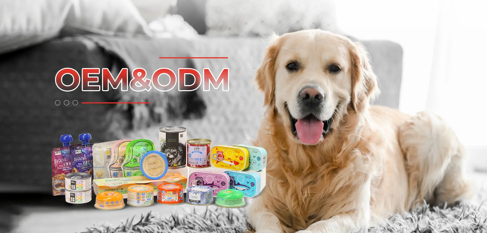 Small Breed Senior Wet Dog Food Pouches Suppliers
